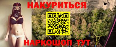 крисы Гатчина