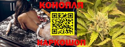 крисы Гатчина