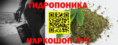 крисы Гатчина