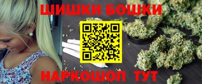 крисы Гатчина